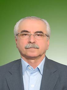 سید علی اکبر هاشمی