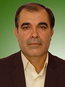 صادق فیضی ثانی