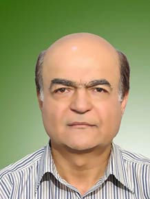 احمد ذاکری