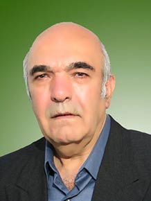 میر محمود رضوی حسابی