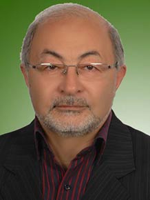 مهدی اینانلو