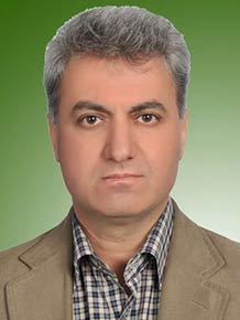 حسن حبیبی