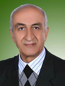 داود زینی زاده