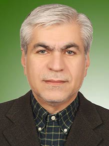 سیدمحمدحسین عادلی