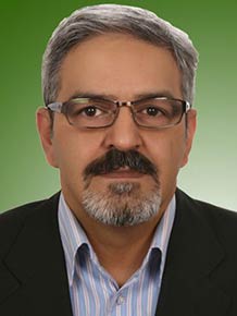 سیدمحمدرضا دهدشتی