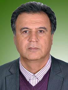 مجتبی فاطمی