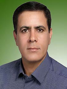 پرویز حسن زاده سامانی