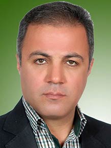 حمید محمدی کوشکی