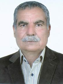 محمدعلی سلیمانی 