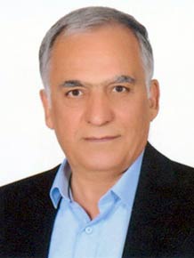 حسن امیری 