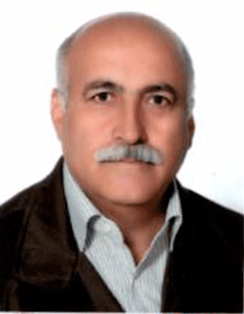 علی اکبر ملک محمدی فرادنبه 