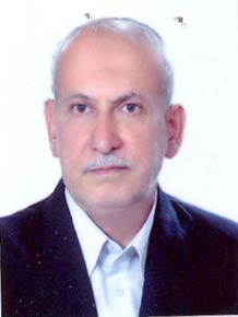 مجتبی رفیع زاده اخویان 