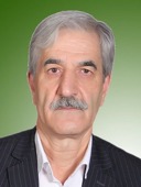 میرحسن ریاضی