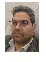 کارشناس رسمی تیمور حسینی اصل