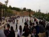 فرماندار شیراز: هیچ نوجوانی در ماجرای بلوار چمران بازداشت نشده است